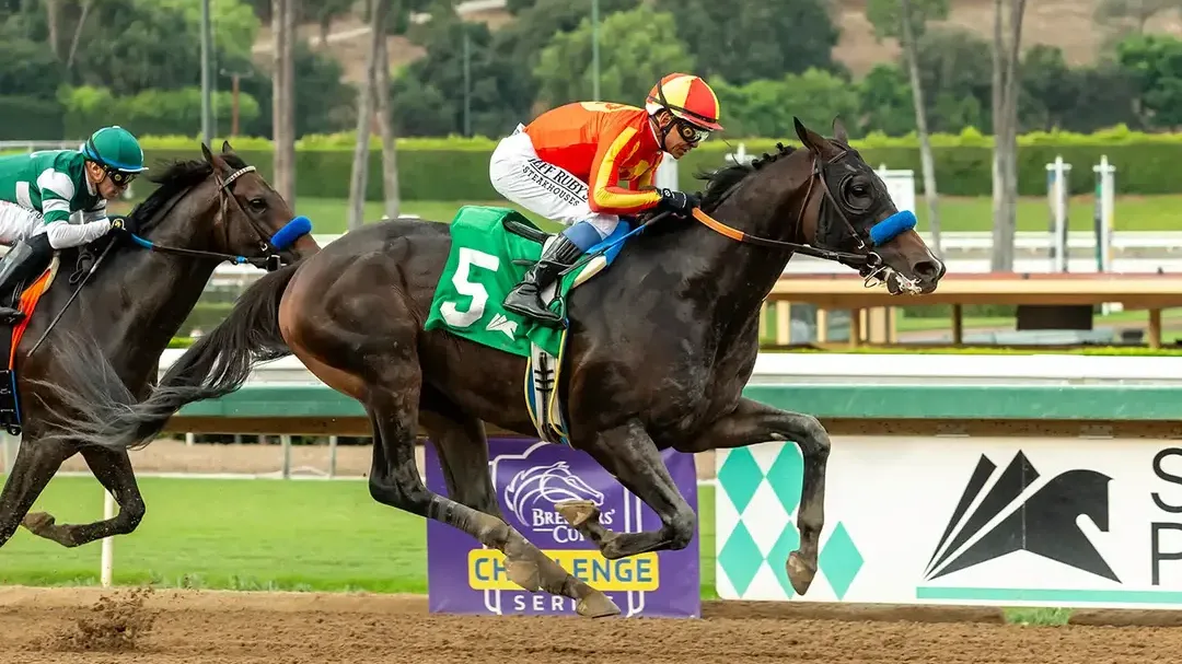 Saudi Cup Contender Nevada Beach