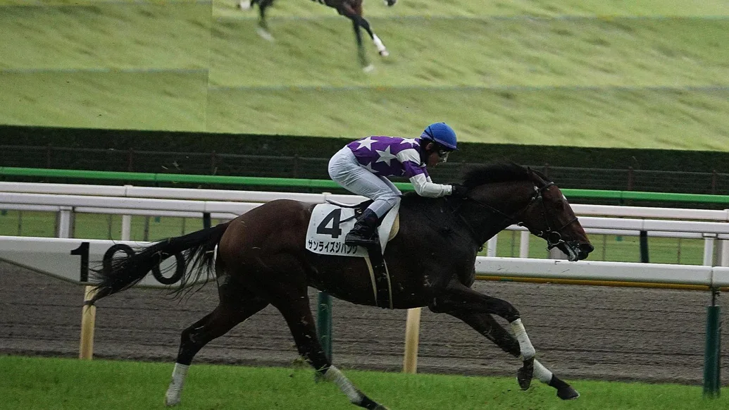 Saudi Cup Contender Profile: Sunrise Zipangu