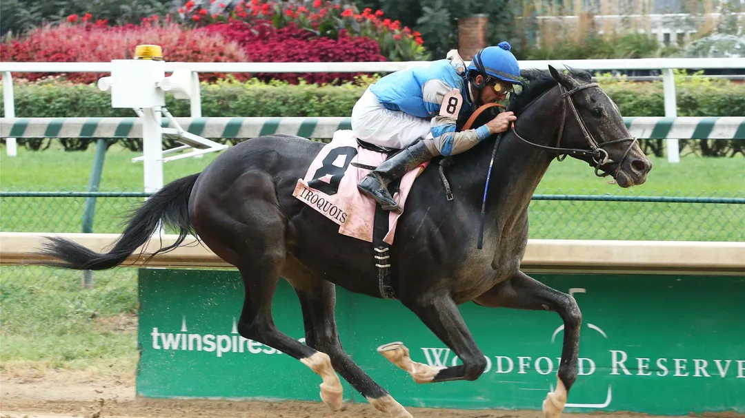 The Not This Time Influence in the Kentucky Derby Odds