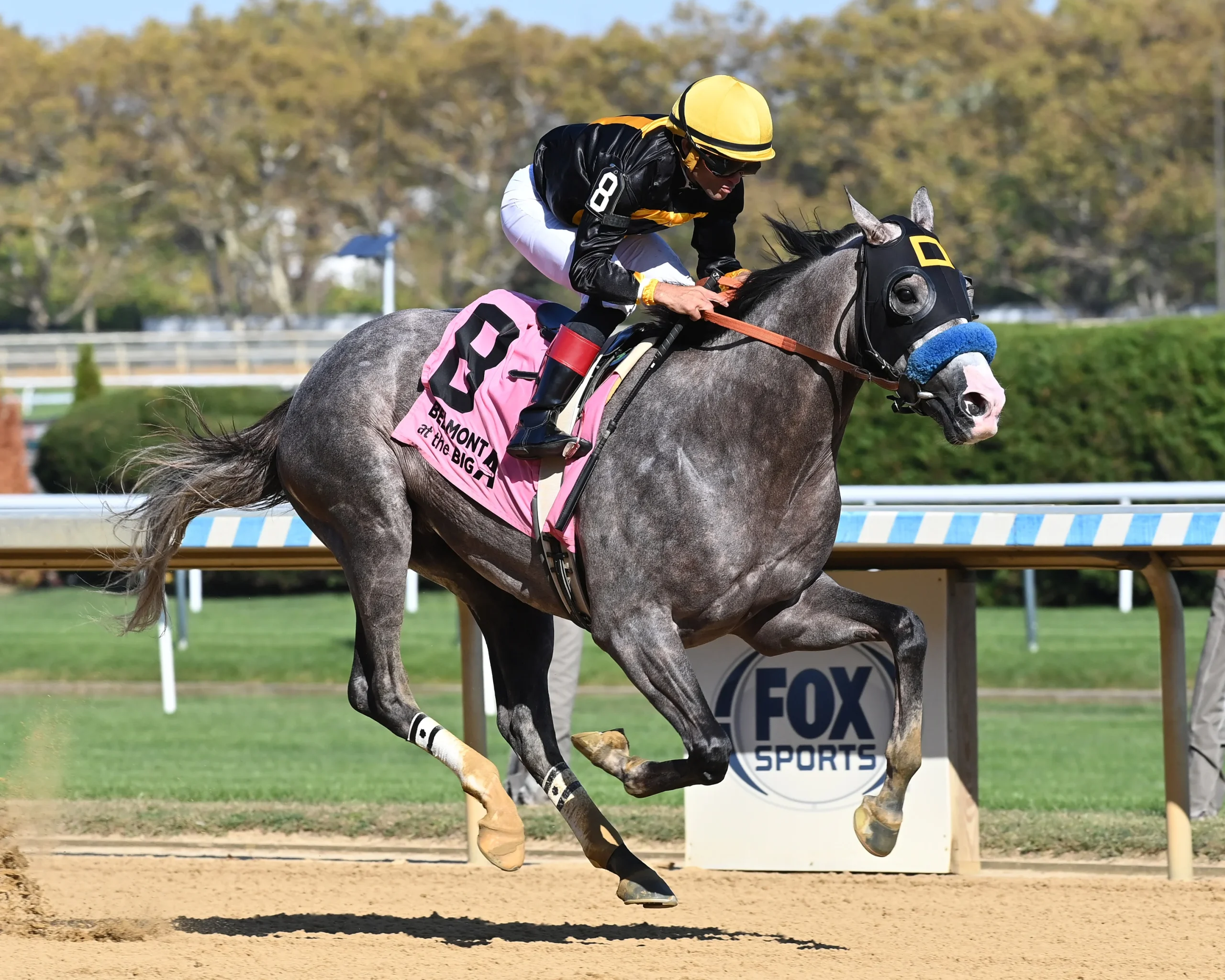 Fountain of Youth Stakes Odds, Betting, Analysis, Picks