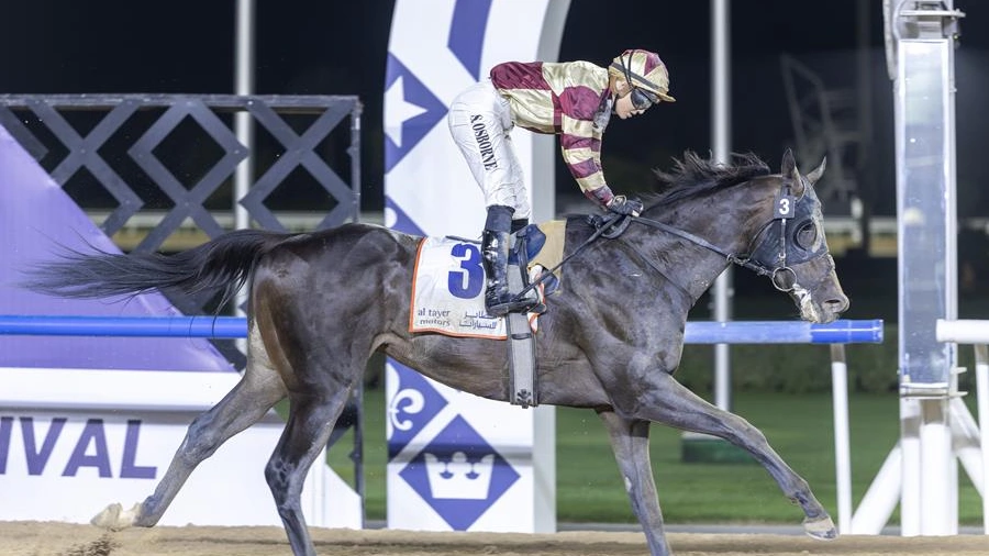 International Kentucky Derby Betting: Can Brotherly Love Conquer the World?