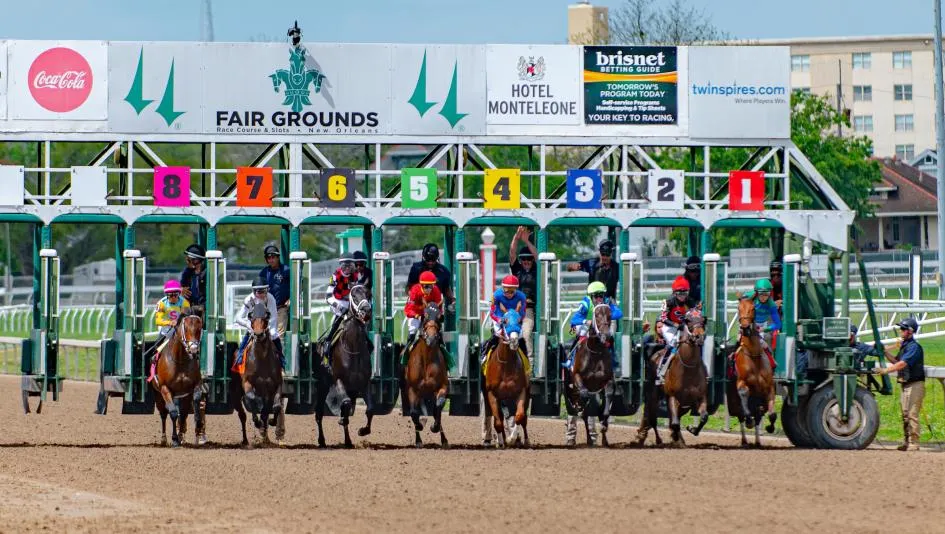 Kentucky Derby Betting 101: Why 2nd Place in the Risen Star is Worth More than a Win