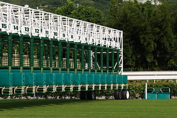 Paddock Psychology: Identifying a Risen Star Stakes Red Flag