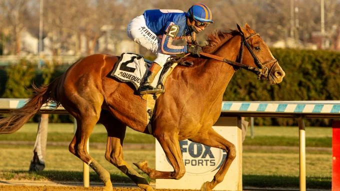 Risen Star Stakes: Why Paladin Is A Kentucky Derby Betting Favorite