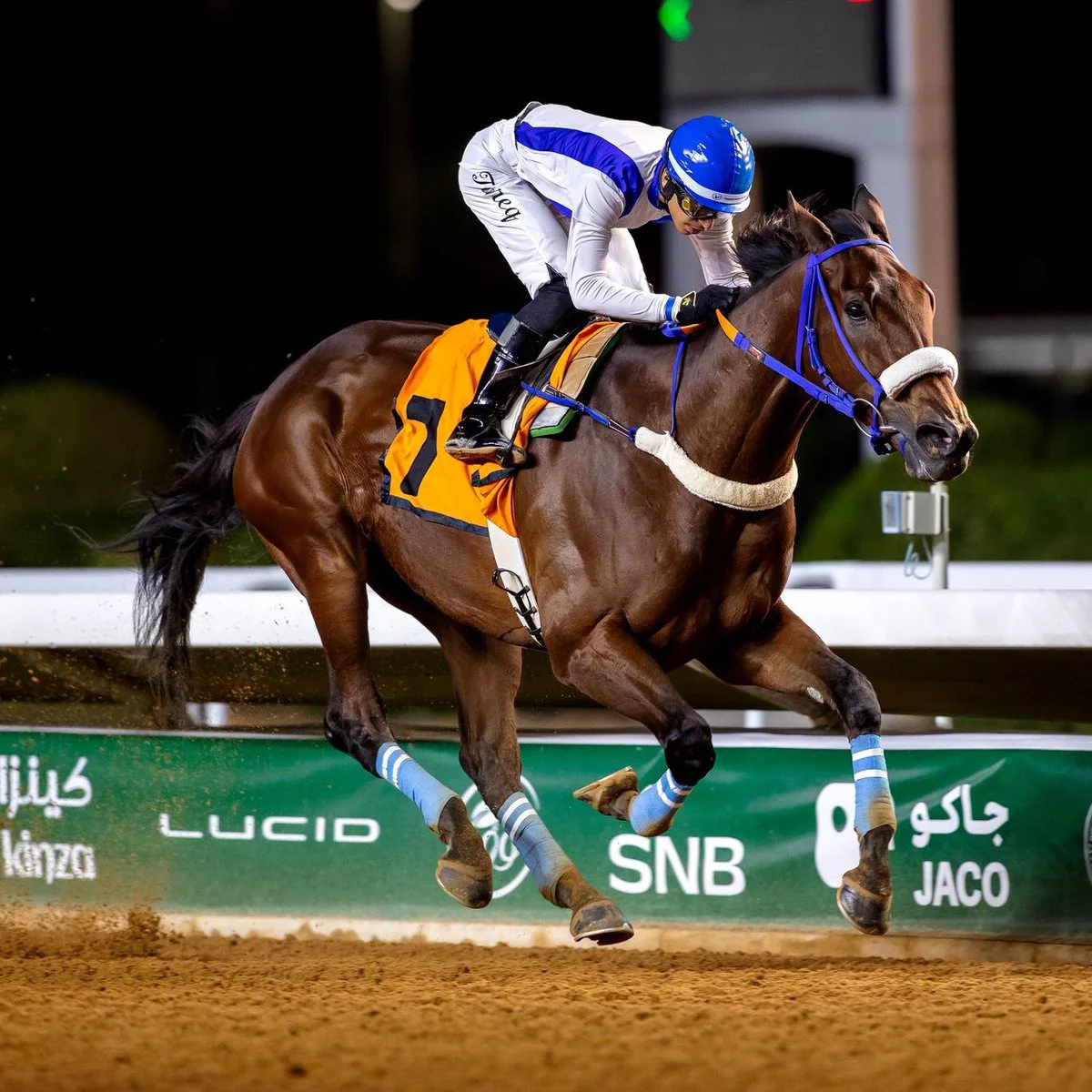 Saudi Cup Contender Profile: Thundersquall