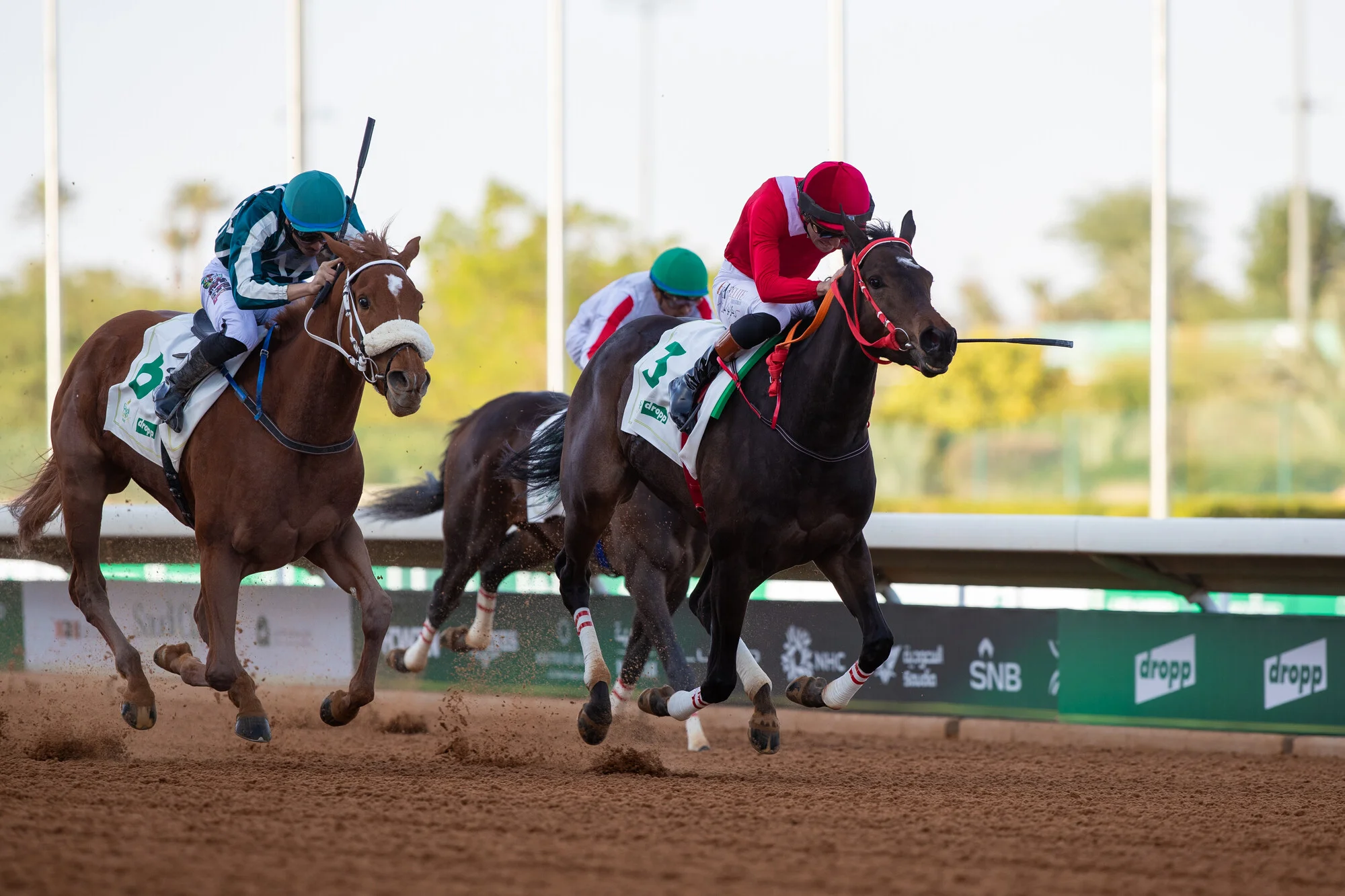 Saudi Cup Contender Profile: Ameerat Alzamaan