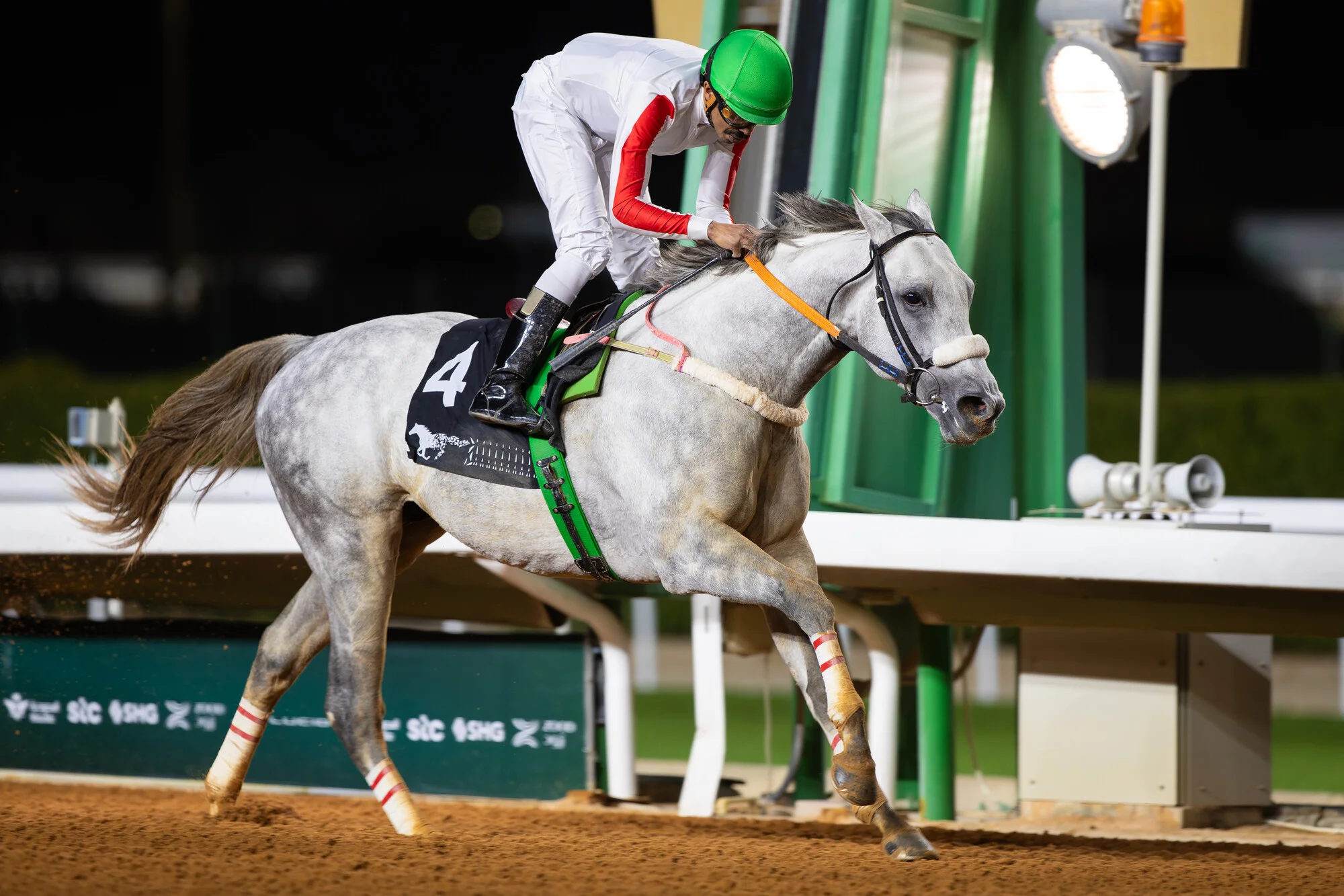 Saudi Cup Contender Profile: Haqeet