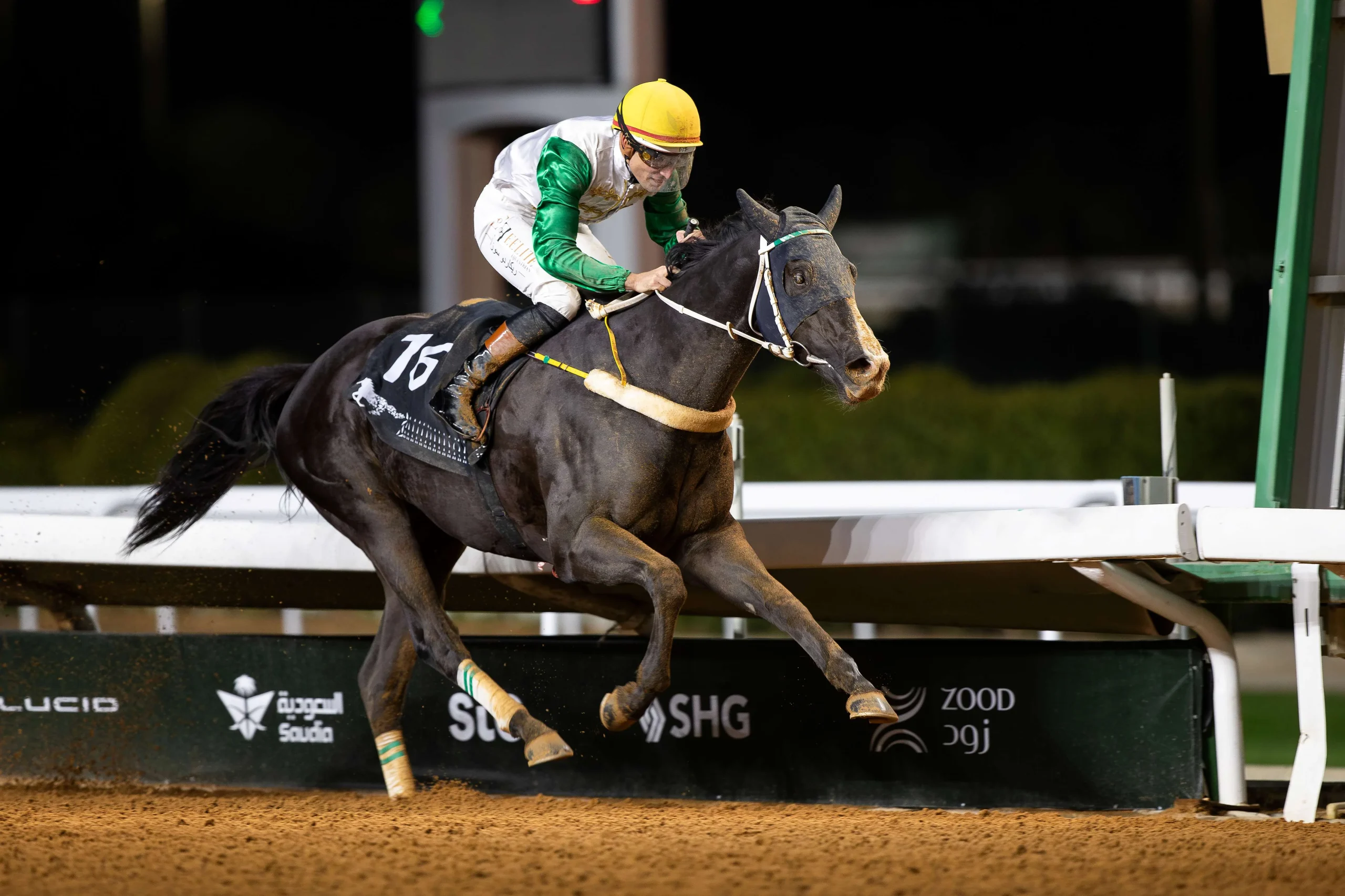 Saudi Cup Contender Profile: Mhally