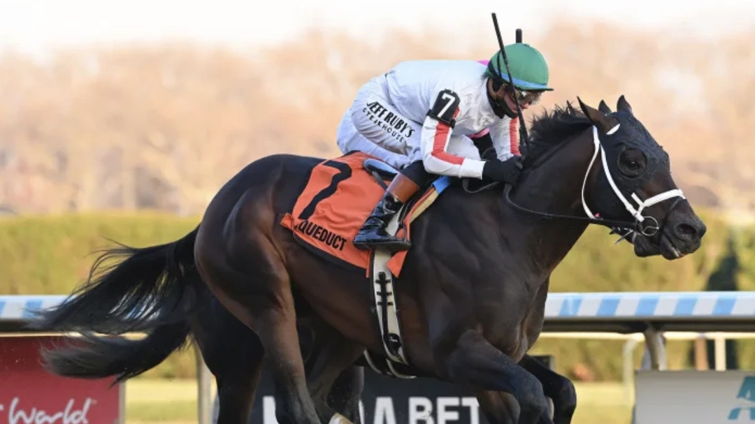 Saudi Cup Contender Profile: Bishop’s Bay