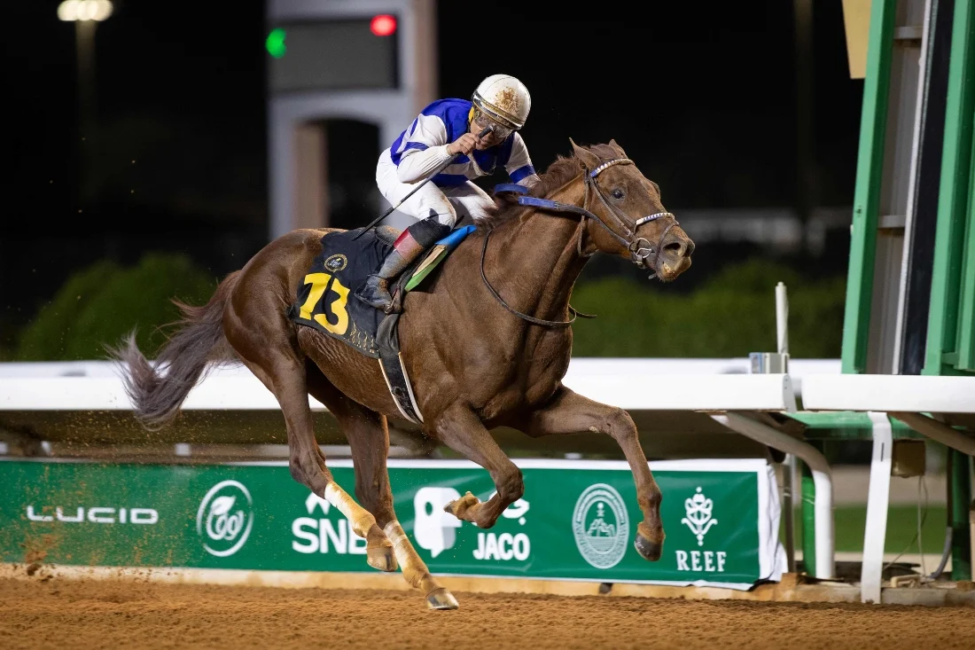 Saudi Cup Contender Profile: Rattle N Roll