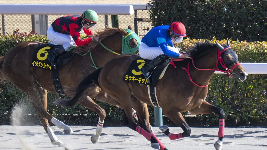 Kentucky Derby Betting: The "International Road" Update