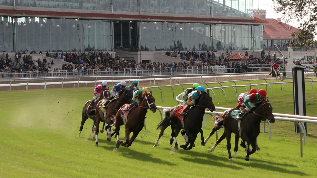 Kentucky Derby Betting 101: Navigating the 1 3/16 Mile "Deep Stretch"