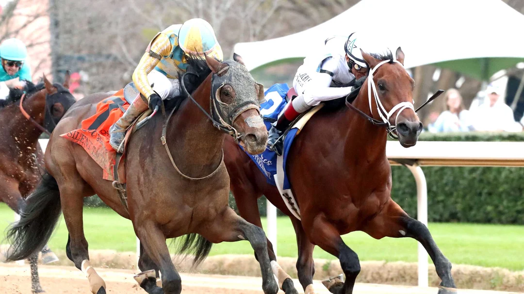 Kentucky Derby Betting News: The Case for Class President After the Paladin Scratch