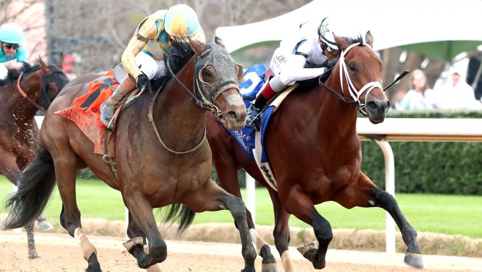Kentucky Derby Betting: Why Silent Tactic is the Most Dangerous 2nd-Place Finisher
