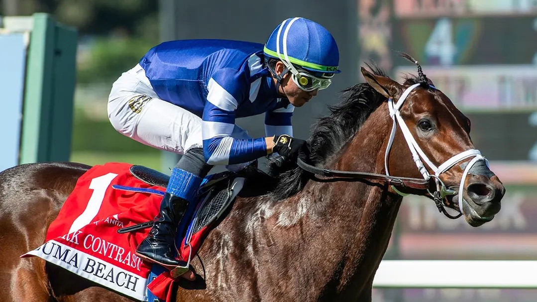 Kentucky Derby Betting: Is Stark Contrast the Best "Place" Bet of the Year?
