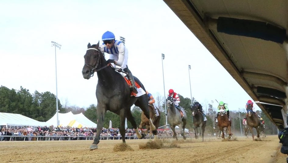 Kentucky Derby Odds Reset: Incredibolt Surges as a Contender