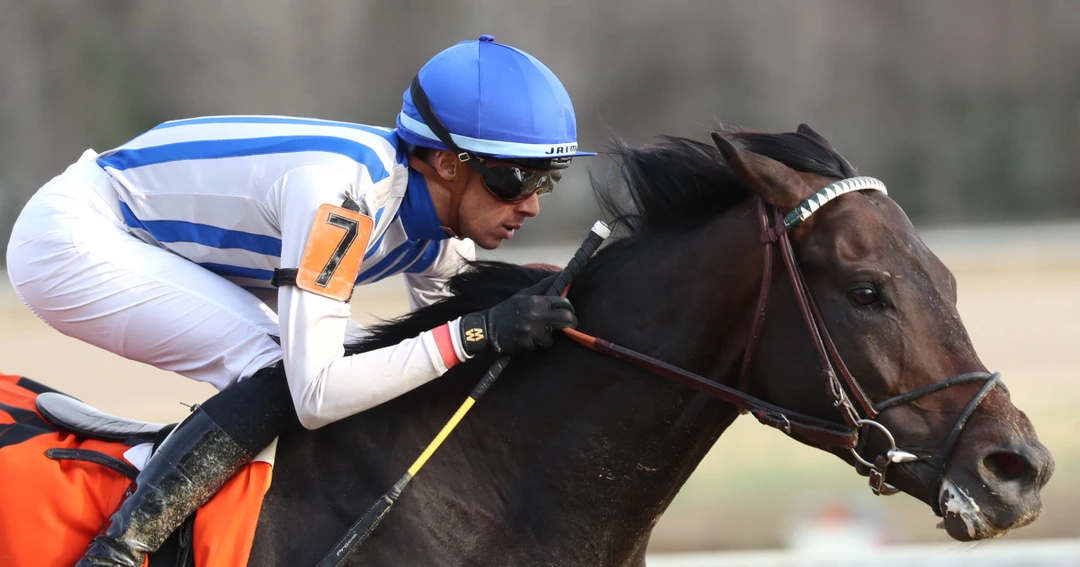 Kentucky Derby Odds Shuffle: Predicting the New Top 5 After Tonight