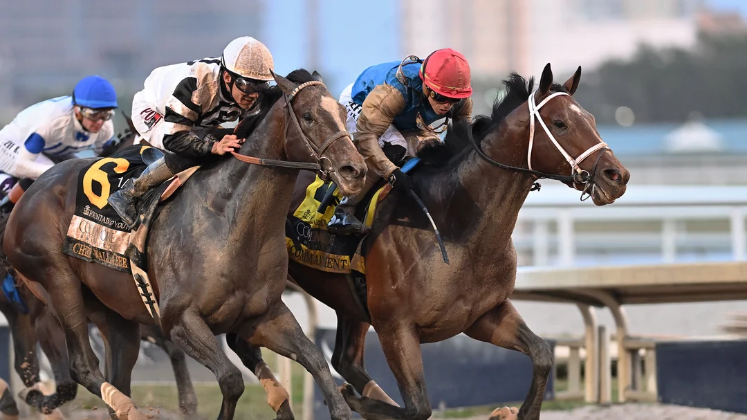 2026 Kentucky Derby Top 10 Contenders (March 2)
