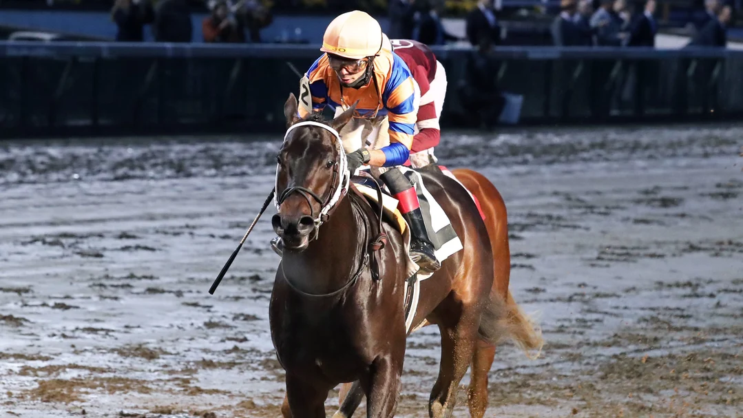 Kentucky Derby Odds: The Louisiana Derby 100-Point Preview