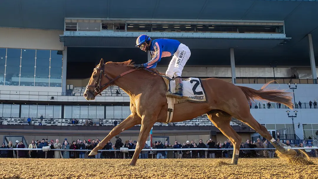 The "Elite Eight": Why Paladin Still Holds the Kentucky Derby Odds Throne