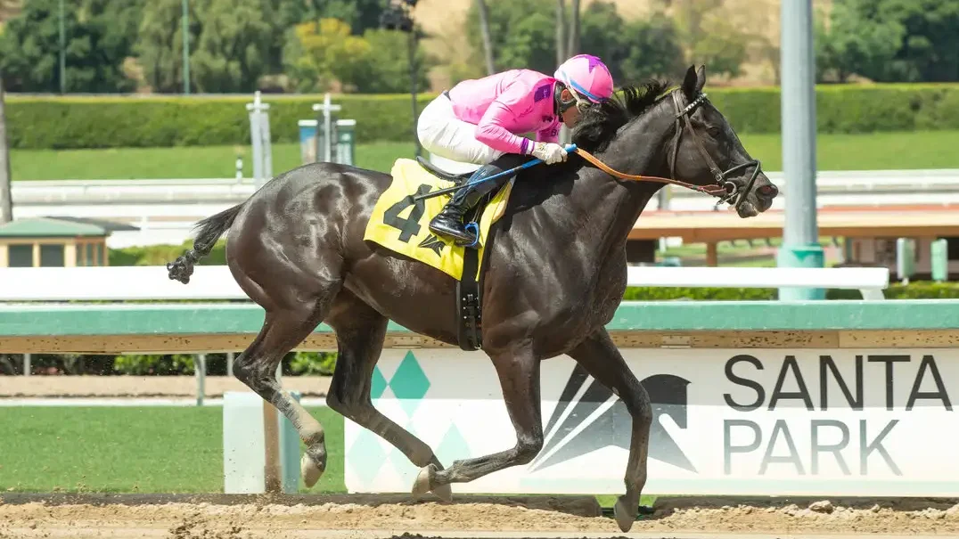 Santa Anita Handicap Odds, Betting, Analysis, History