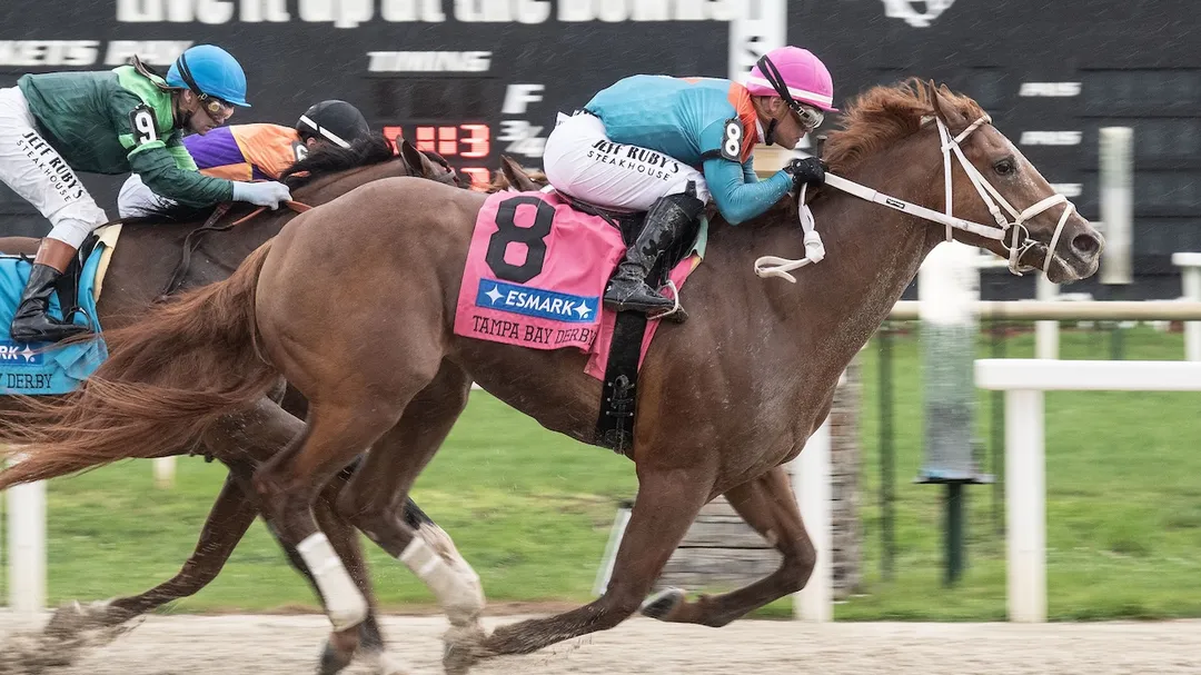 Kentucky Derby 2026 Top Contenders. Horse-by-Horse Betting Analysis