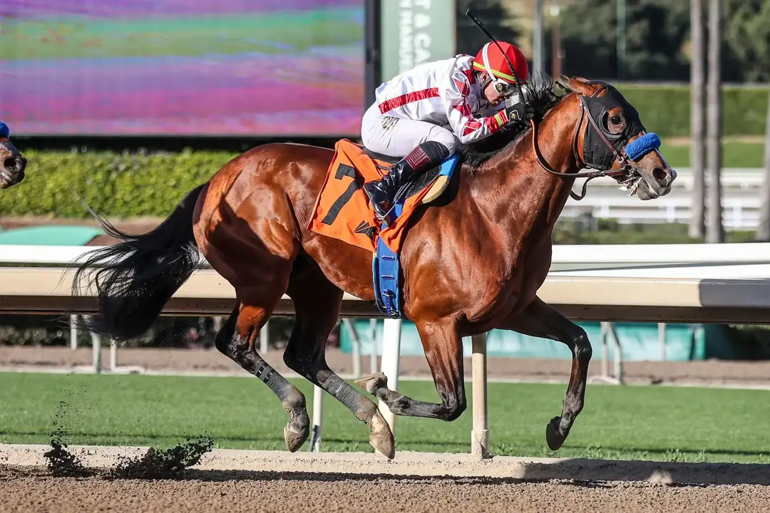 Kentucky Derby Betting Strategy: To Bet or Not to Bet on Bob Baffert’s Longshots