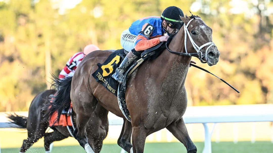 Kentucky Derby Odds: Full 20-Horse Field Breakdown - Win Probability for Every Starter