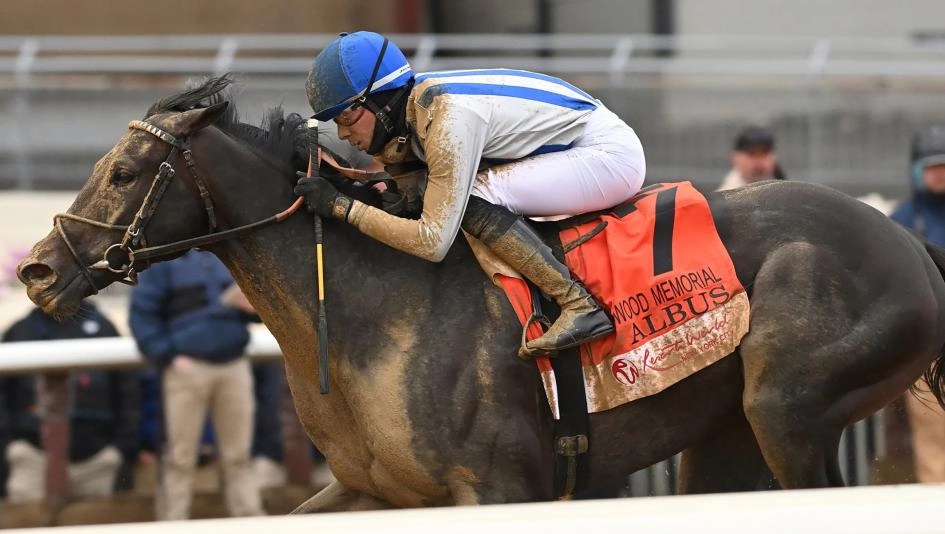 Kentucky Derby Betting: Speed Figures Tell All - Top Beyer Numbers in the 2026 Field