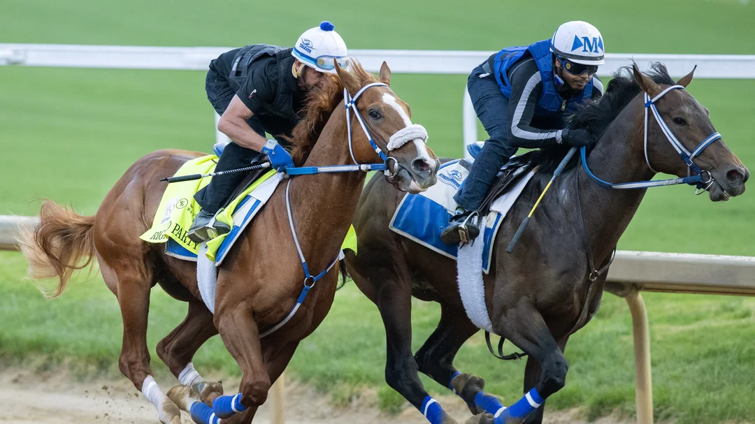 Kentucky Derby Betting: Value Guide - 5 Horses Offering the Best Risk/Reward in 2026