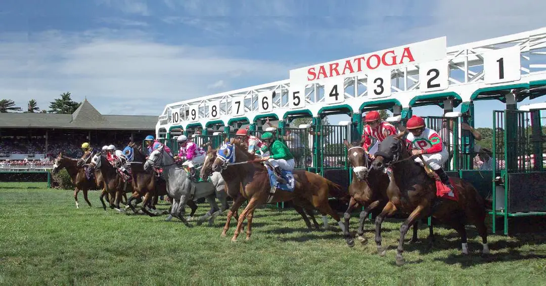Saratoga’s Test of Champions: 5 Insights for 2026 Belmont Stakes Betting