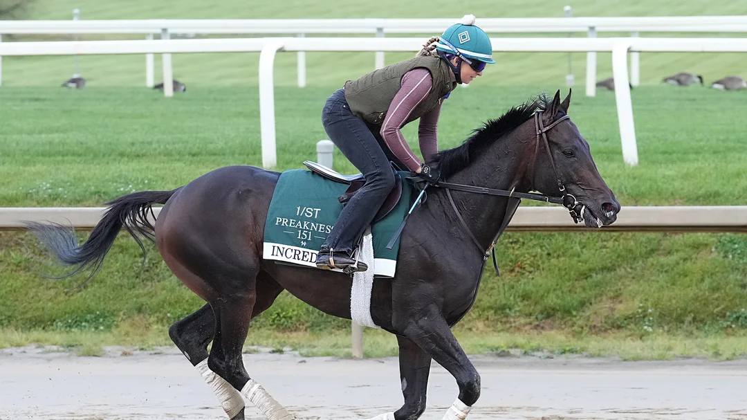 How to Bet $500 on the 2026 Preakness Stakes