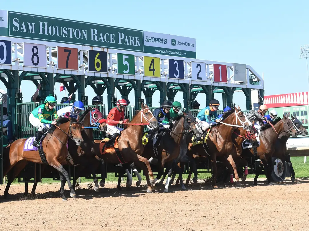 How to Bet the 2026 Belmont Stakes from Texas