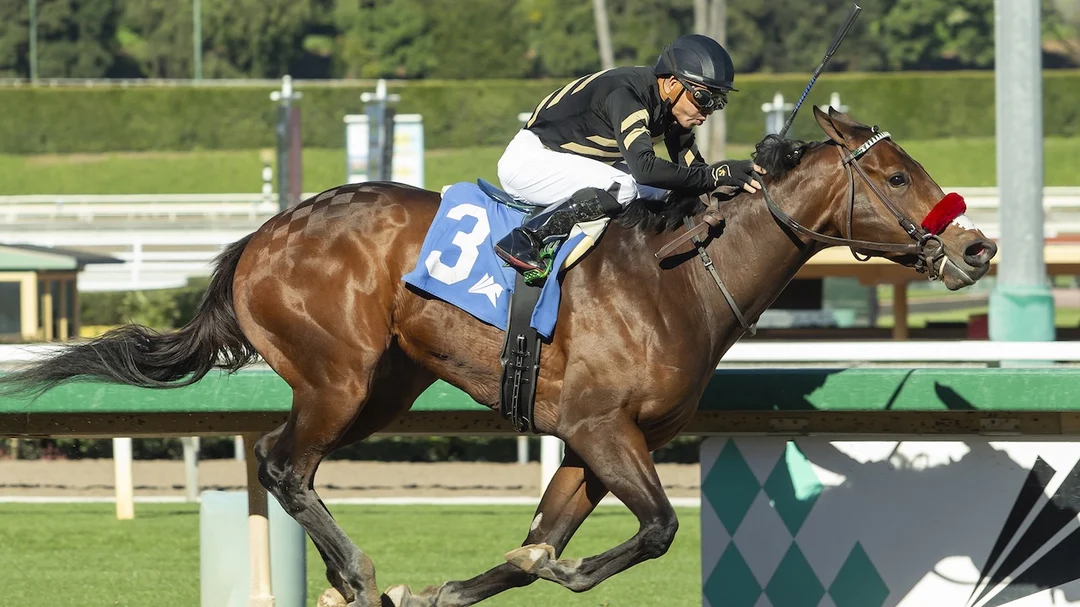 Kentucky Derby Odds Update: Right to Party Out, Robusta In
