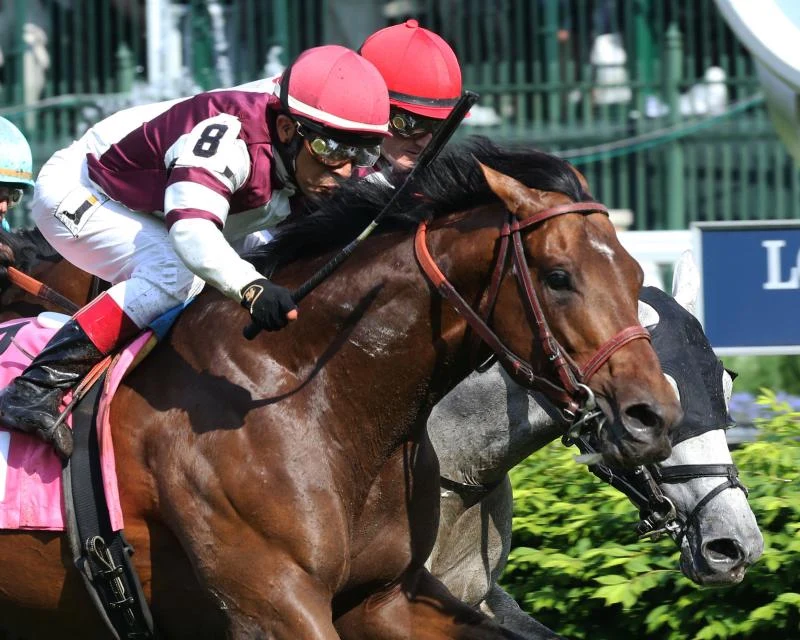 2026 Kentucky Derby Day Undercard Picks