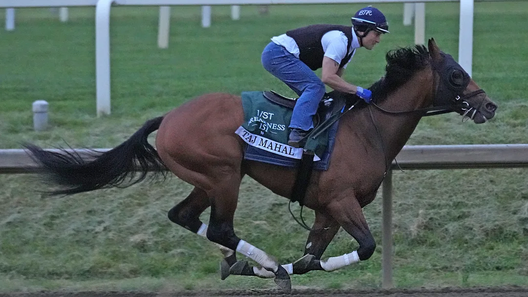 2026 Preakness Betting: Taj Mahal a Favorite in Wide-Open Field