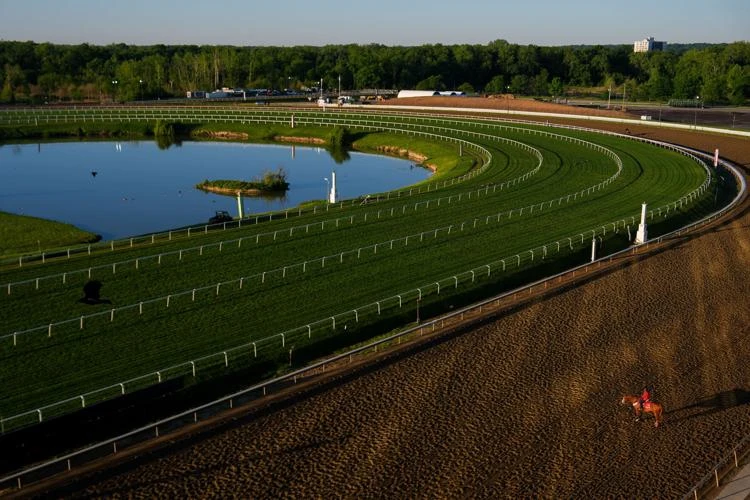 Preakness Stakes 2026 at Laurel Park: Attendance, Favorites and the Numbers
