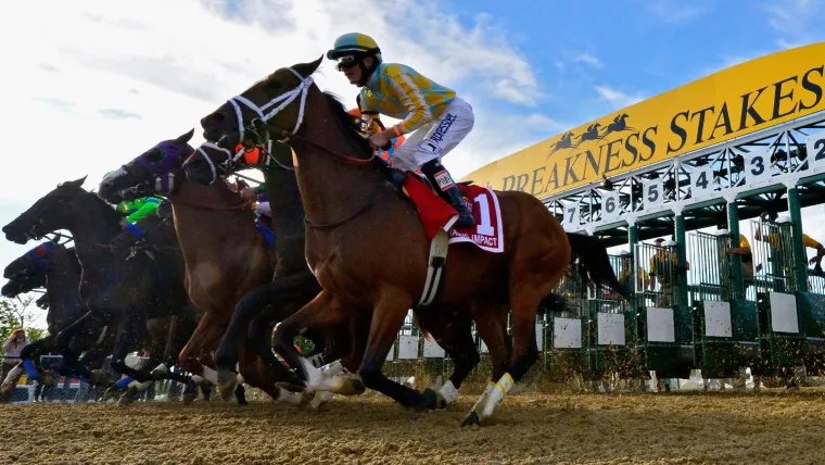 2026 Preakness Stakes Betting Reactions After the Draw