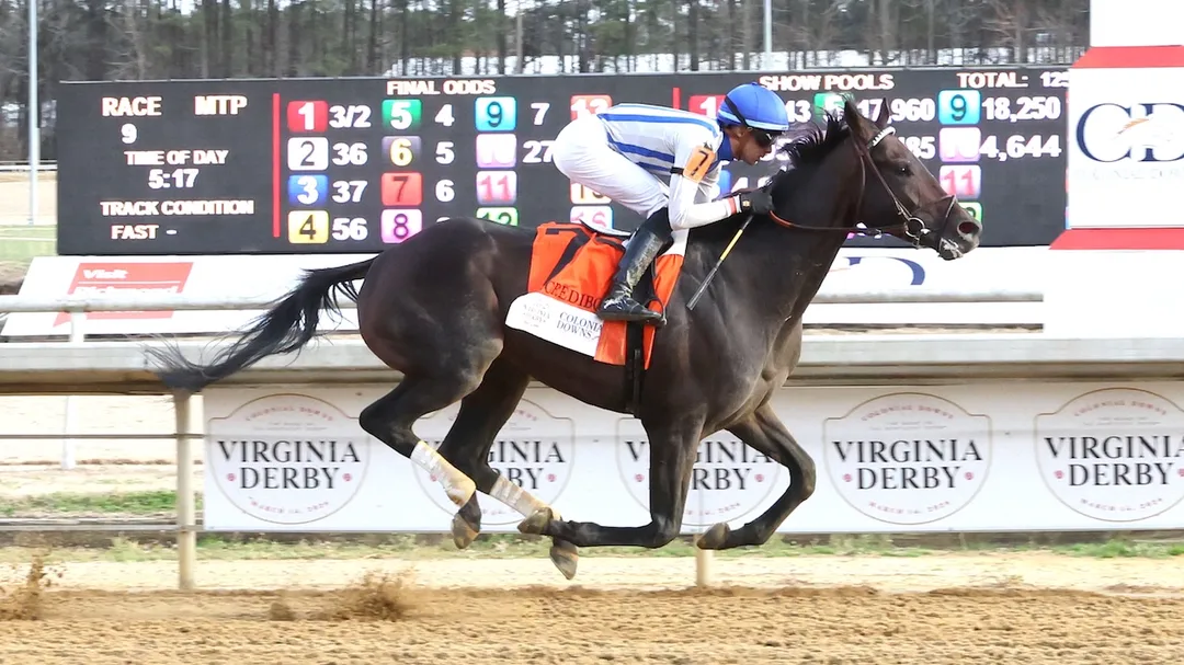2026 Preakness Stakes: Horse-by-Horse Analysis, Odds, Picks