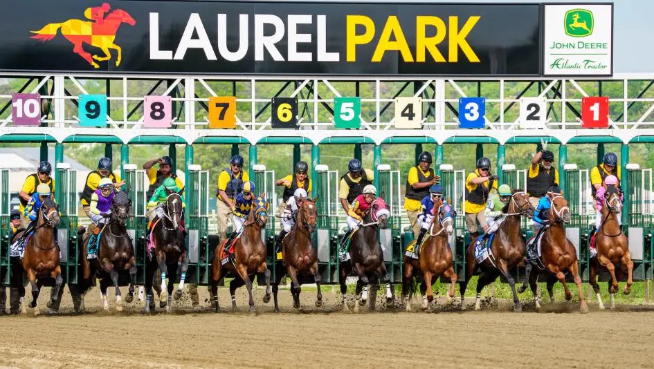 2026 Preakness Stakes Analysis, Odds, Betting Calculator and More