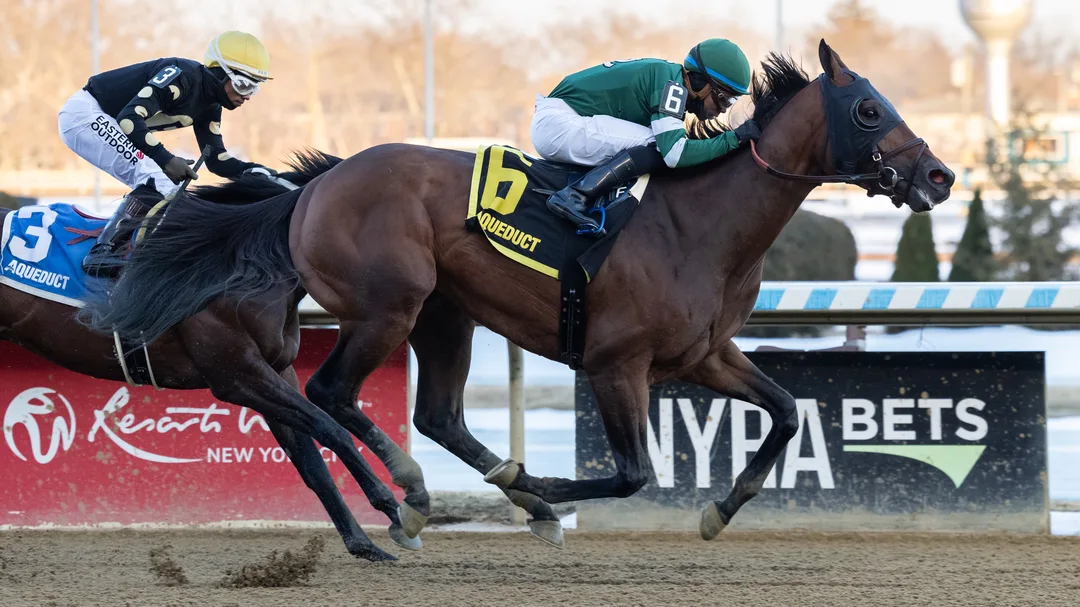 2026 Preakness Stakes Gate Draw: Iron Honor 9-2 Favorite in Field of 14