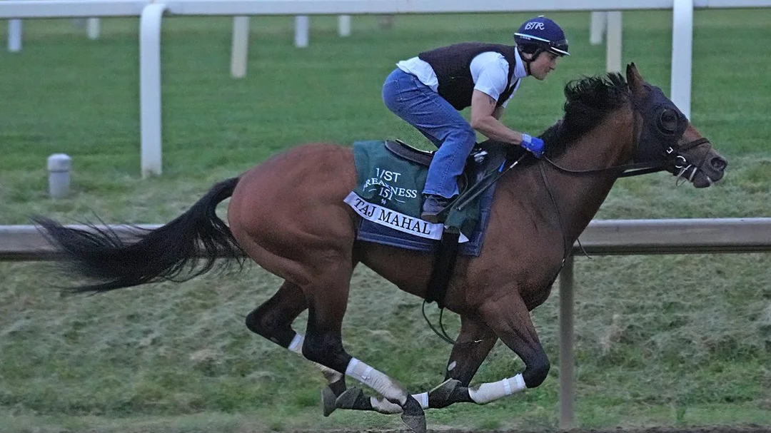 Best Preakness Stakes Post Positions for Contenders at Laurel Park 2026