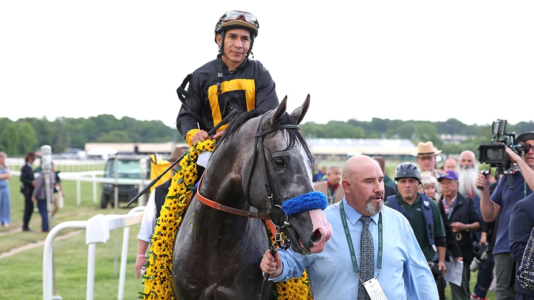 Preakness Stakes Winner Napoleon Solo Targets the Haskell, not the Belmont Stakes