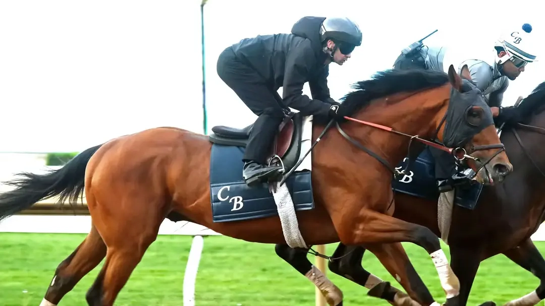 2026 Belmont Stakes Contender Profile: Ottinho