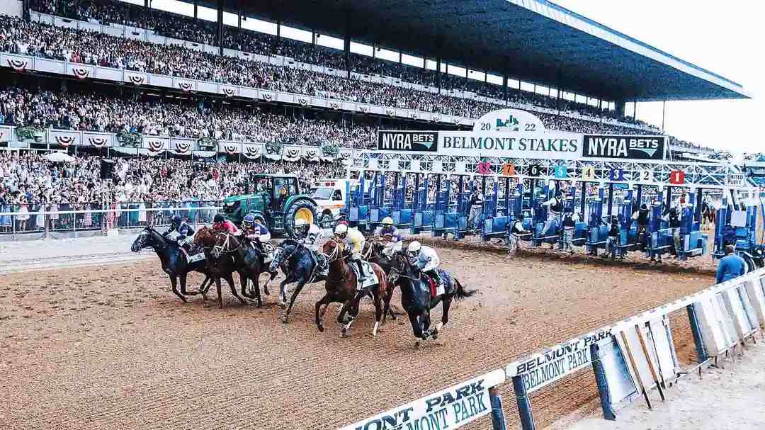 Belmont Stakes Betting: Notes & Nuggets from the Record Book