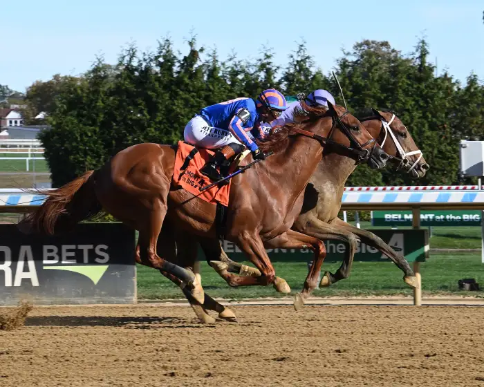 How to Bet $500 on the Belmont Stakes
