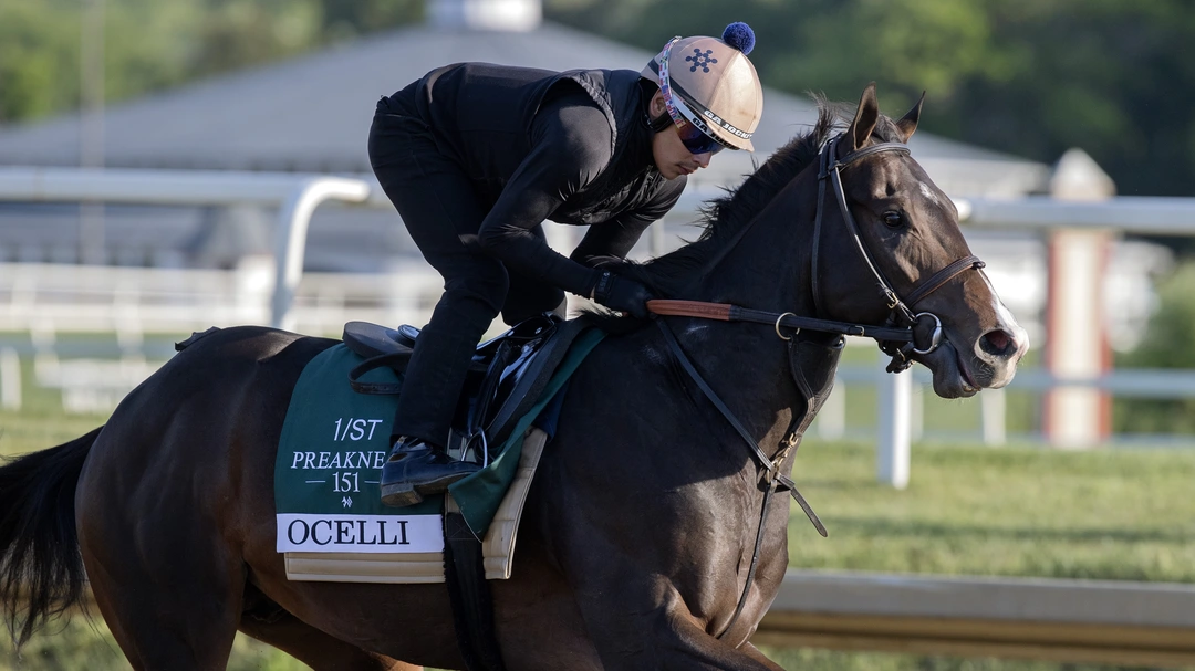 Belmont Stakes Betting Shuffle: Ocelli Bypasses Saratoga, Sets Sights on Ohio Derby